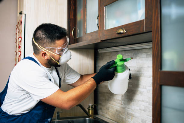 Best Cockroach Control Services  in Cedar Point, NC