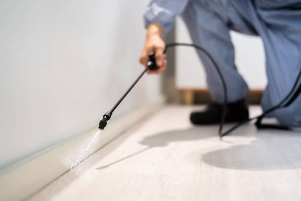 Pest Control Cost in Cedar Point, NC