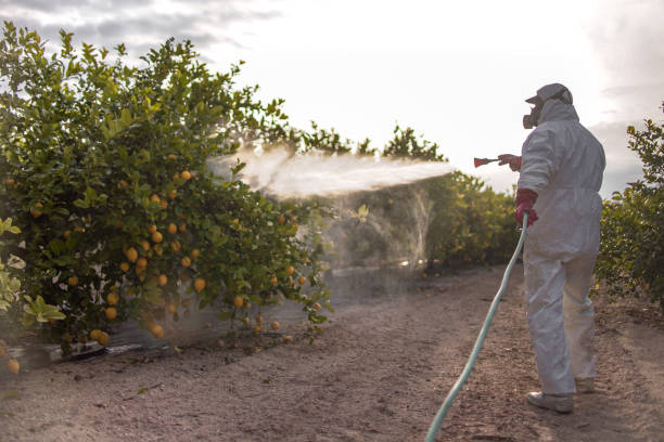 Best Local Pest Control Services  in Cedar Point, NC