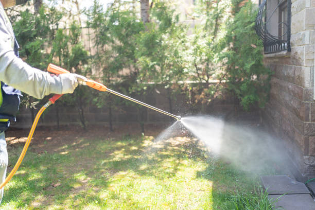 Best Emergency Pest Control  in Cedar Point, NC