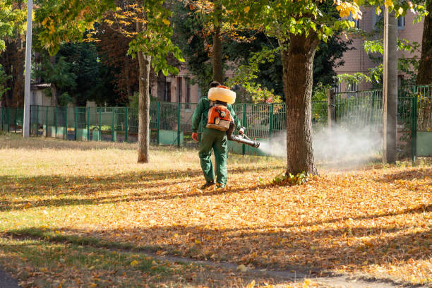 Professional Pest Control in Cedar Point, NC