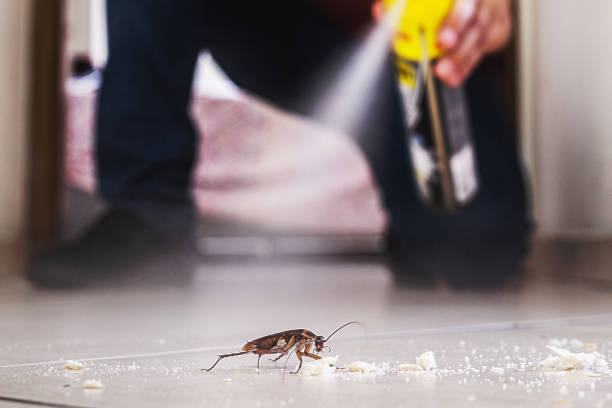 Best Best Pest Control Companies  in Cedar Point, NC
